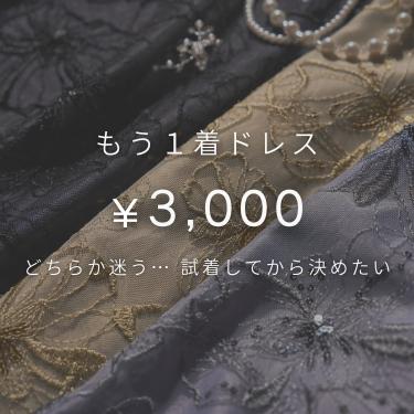 「もう１着ドレス」サービスのご案内